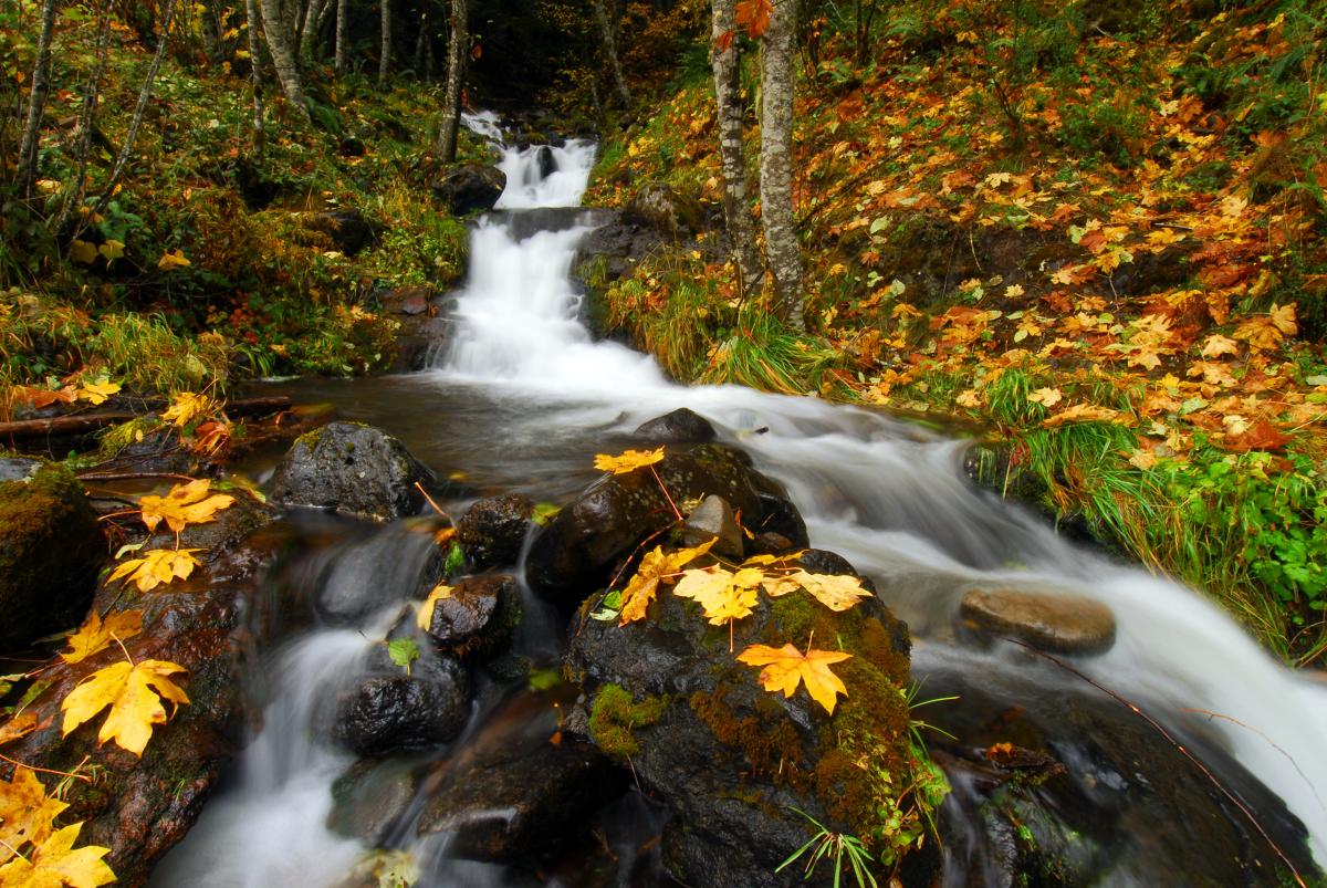 Clackamas River, Oregon