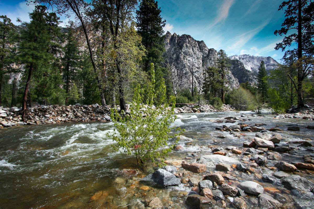 Kings River, California