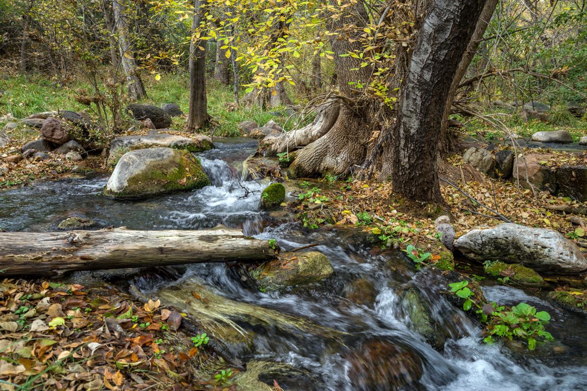 Fossil Creek, Arizona