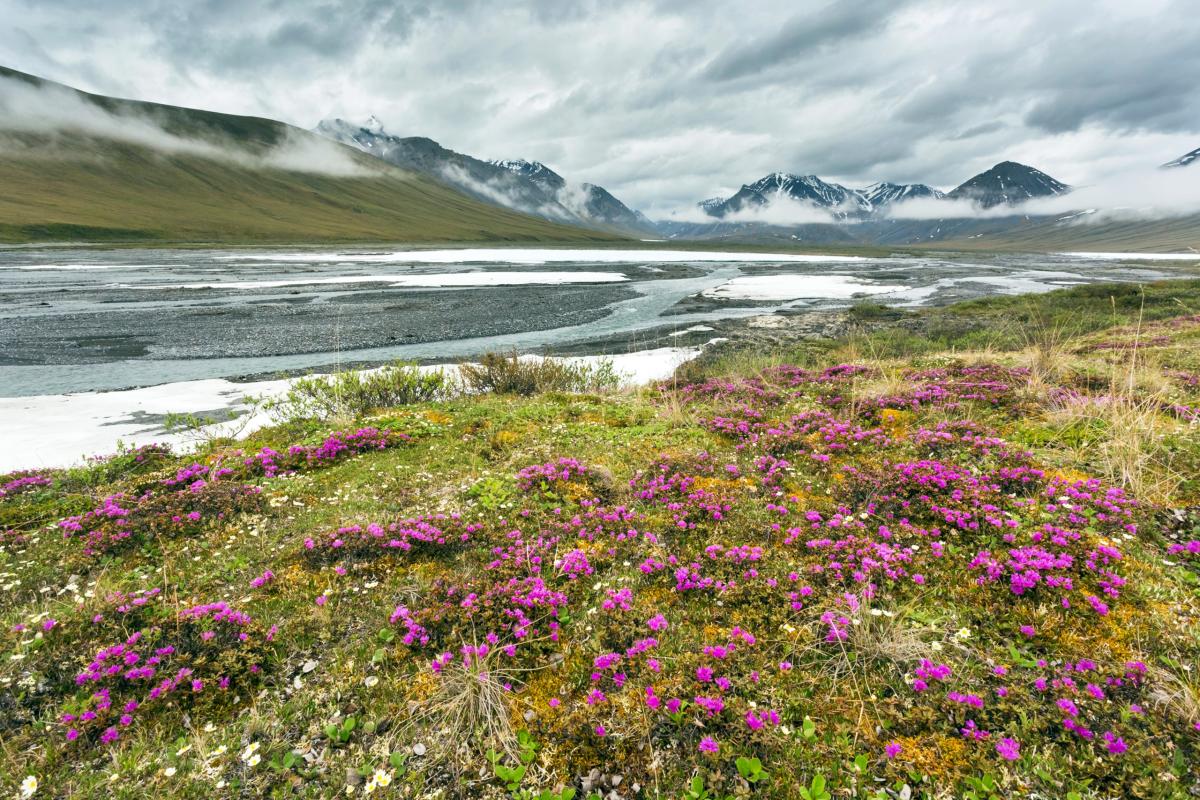 Ivishak River, Alaska