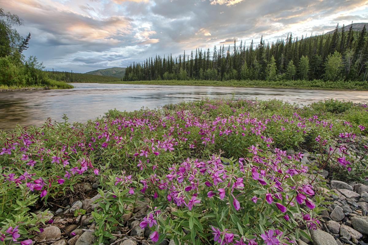 Beaver Creek, Alaska