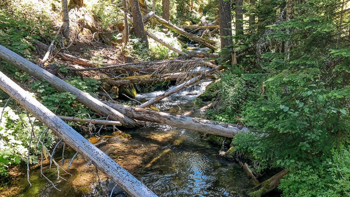 Fifteenmile Creek, Oregon