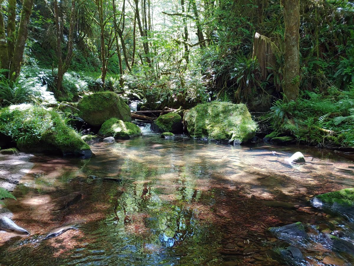 Lobster Creek, Oregon