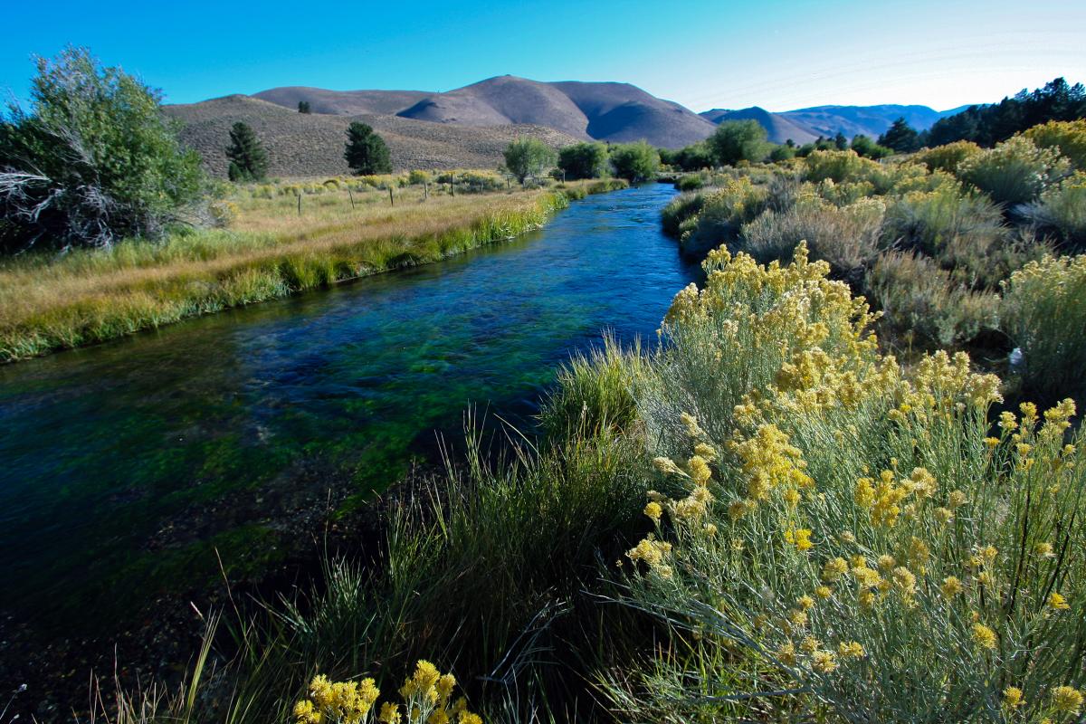 Owens River, California