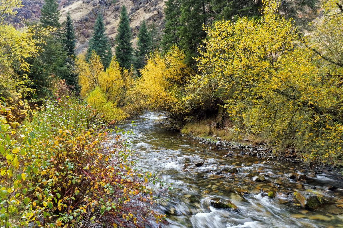 Rapid River, Idaho