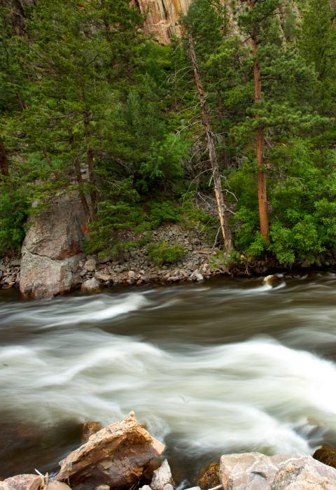 Cache la Poudre River, COlorado