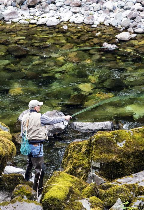 Quartzville Creek, Oregon