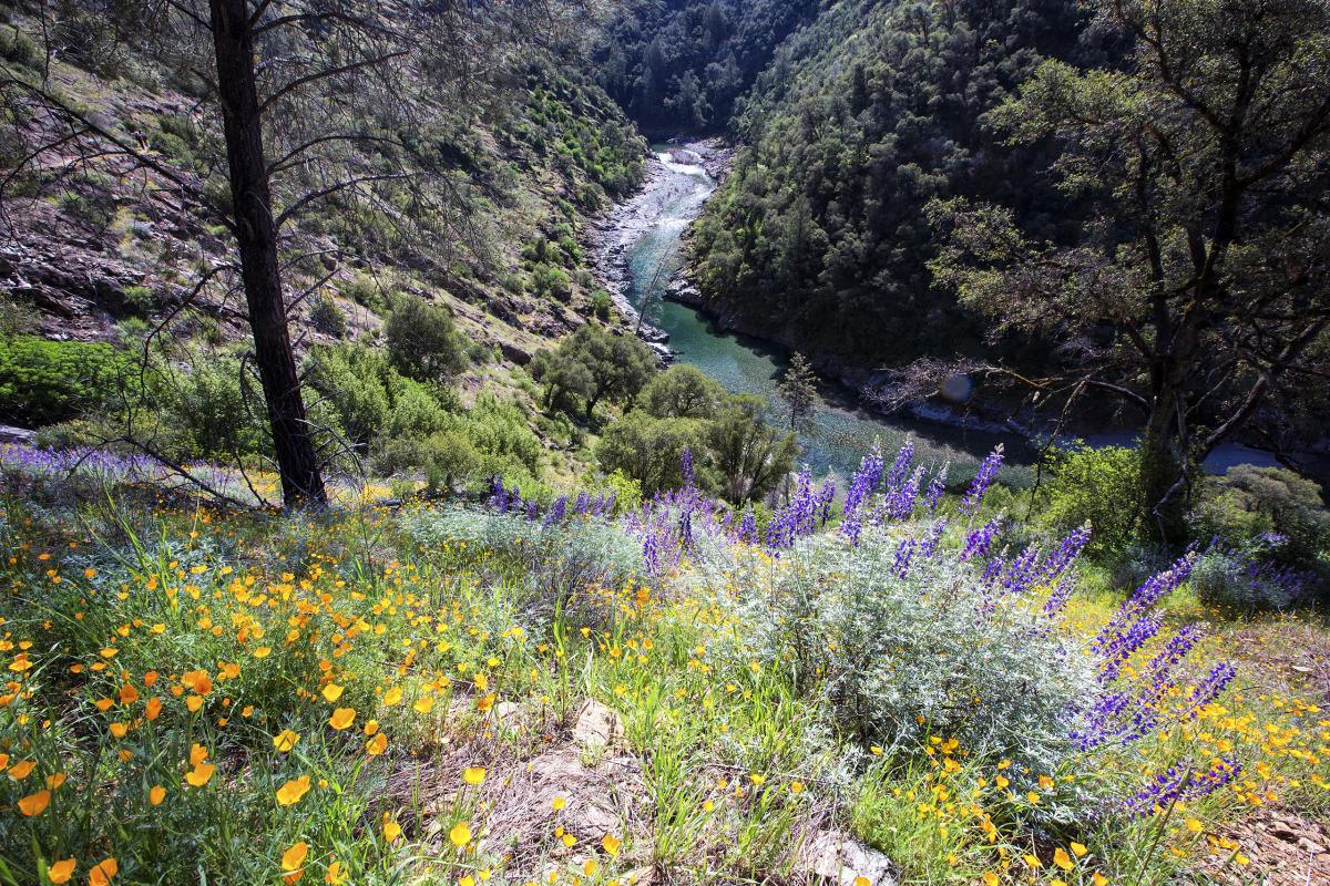 North Fork American River, California