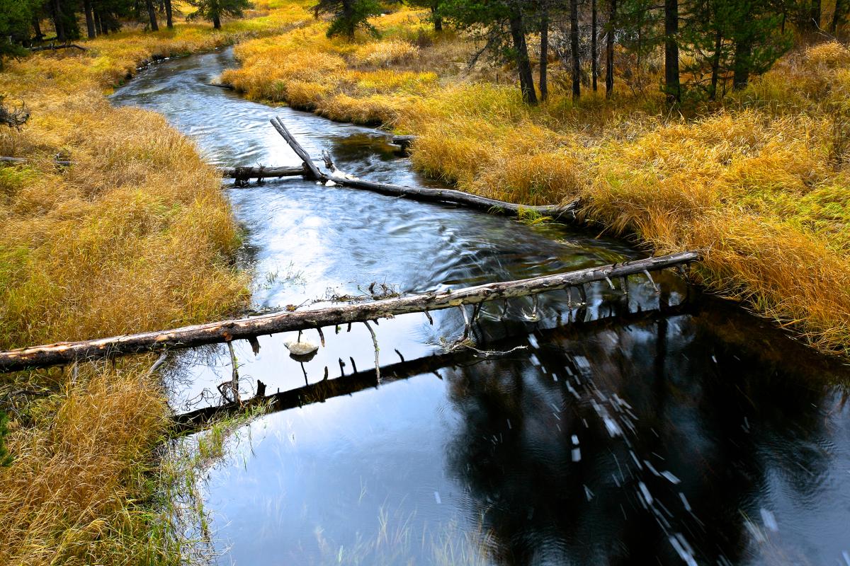 Big Marsh Creek, Oregon