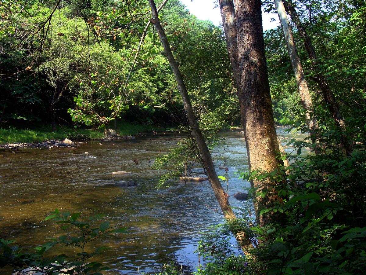 Bluestone River, West Virginia