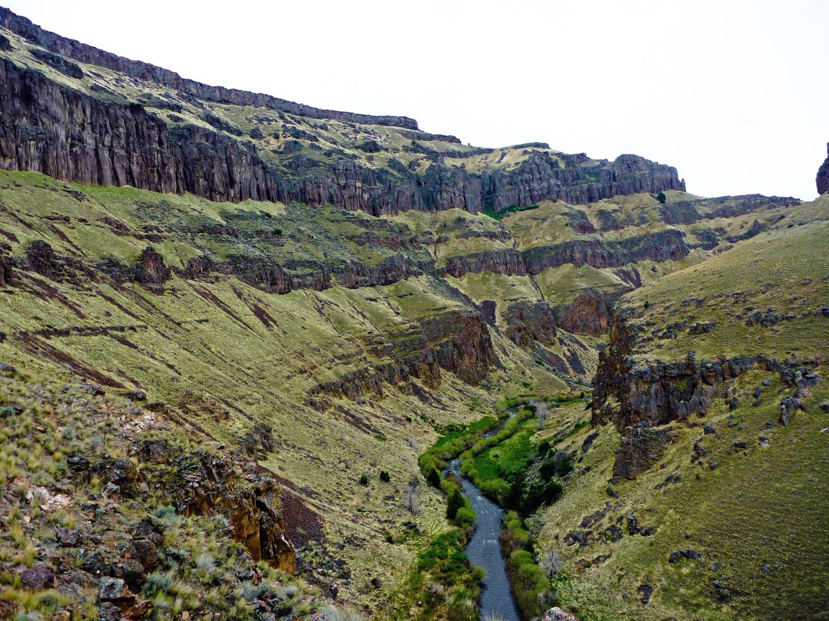 West Fork Bruneau River, Idaho