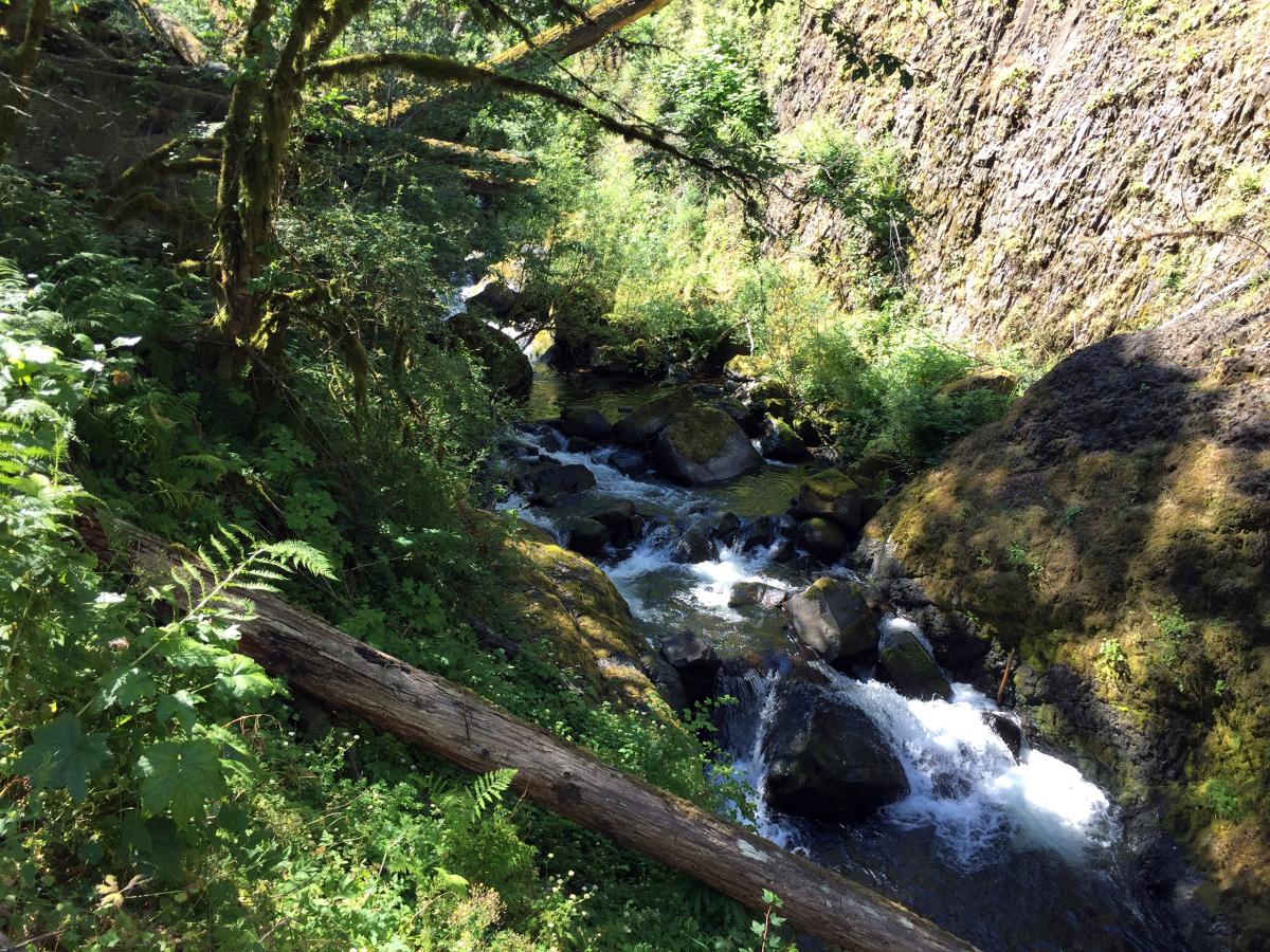 South Fork Clackamas River, Oregon