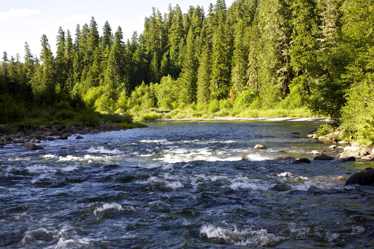 Collawash River