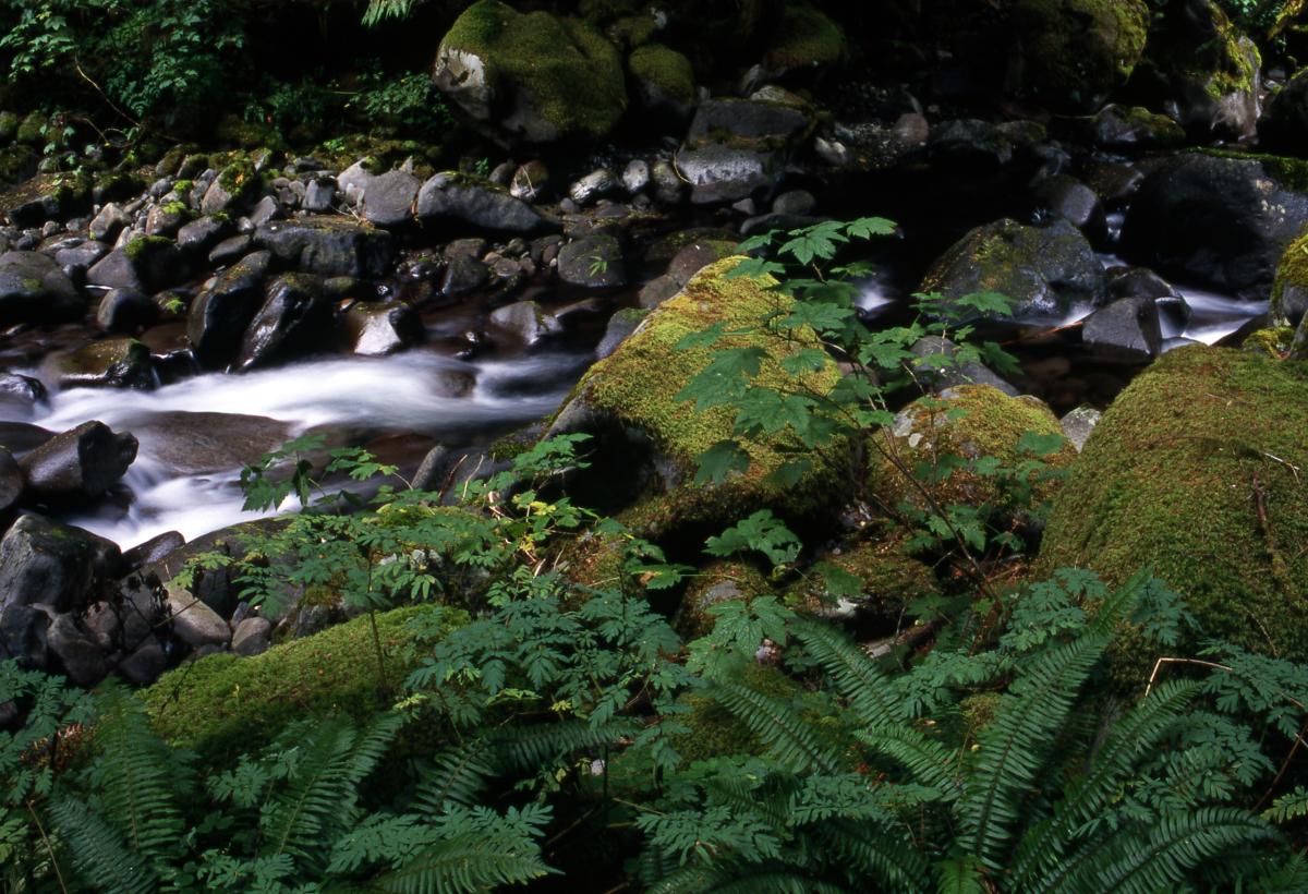 Eagle Creek, Oregon