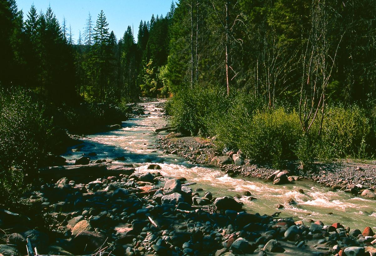 Middle Fork Hood River, Oregon