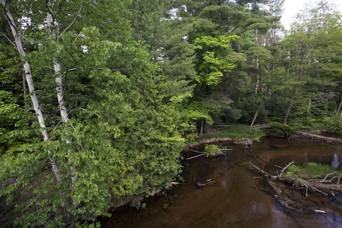 Indian River, Michigan