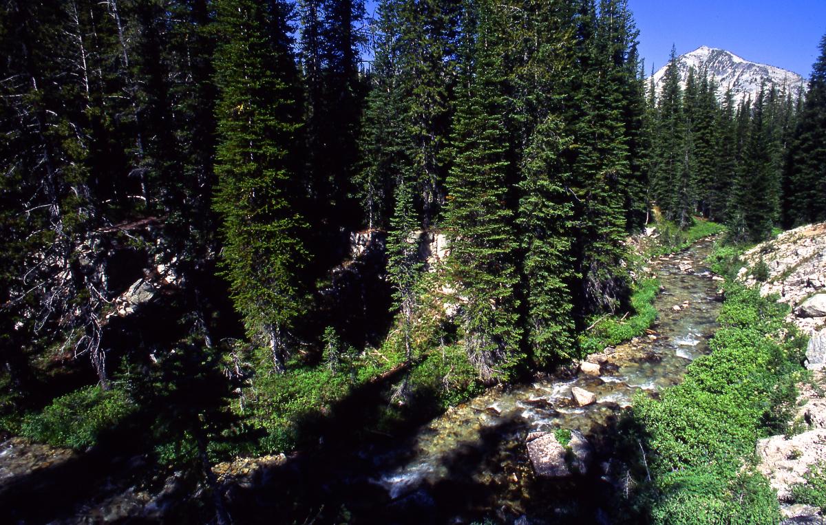 Lostine River, Oregon