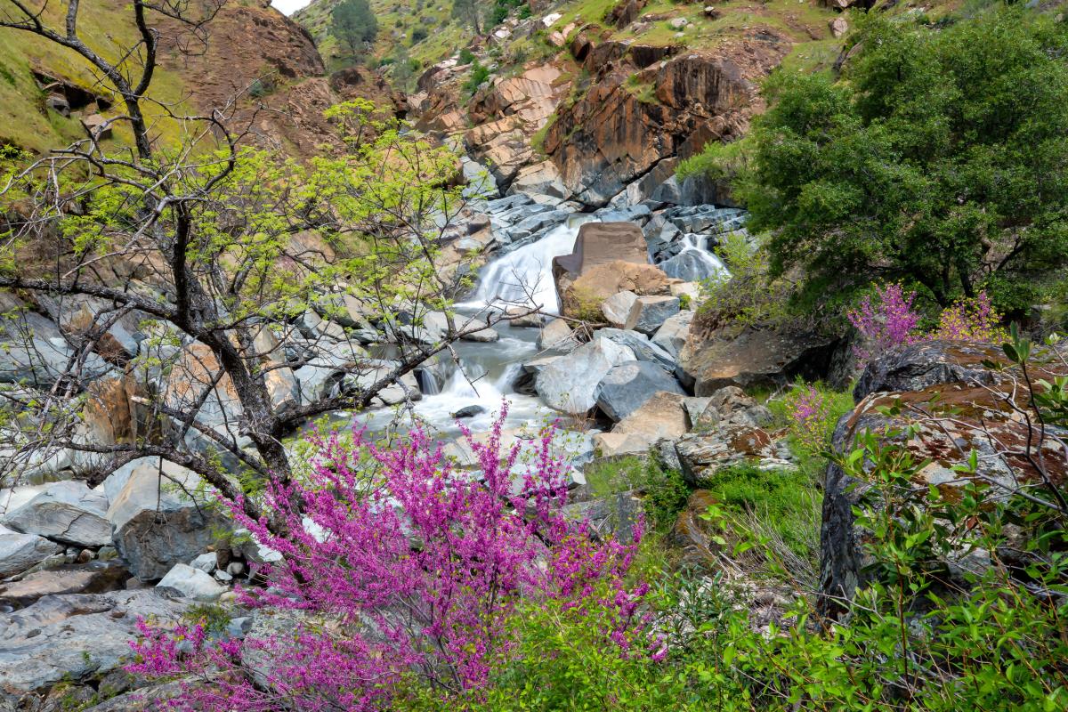 Merced River, California