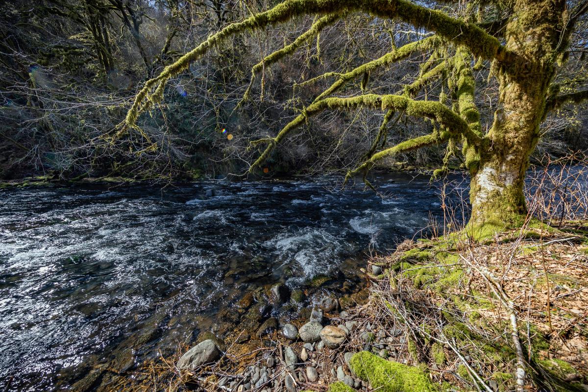 Nestucca River, Oregon