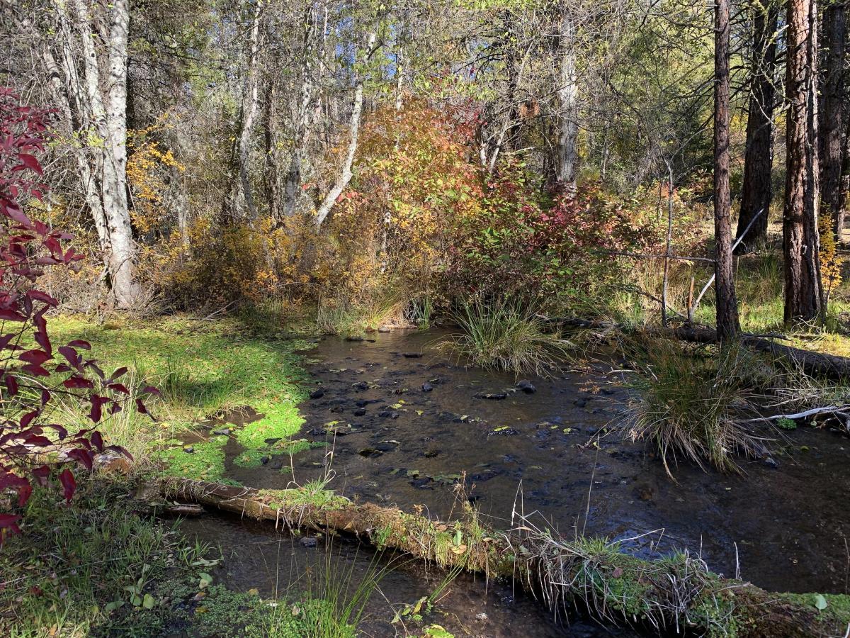 Spring Creek, Oregon