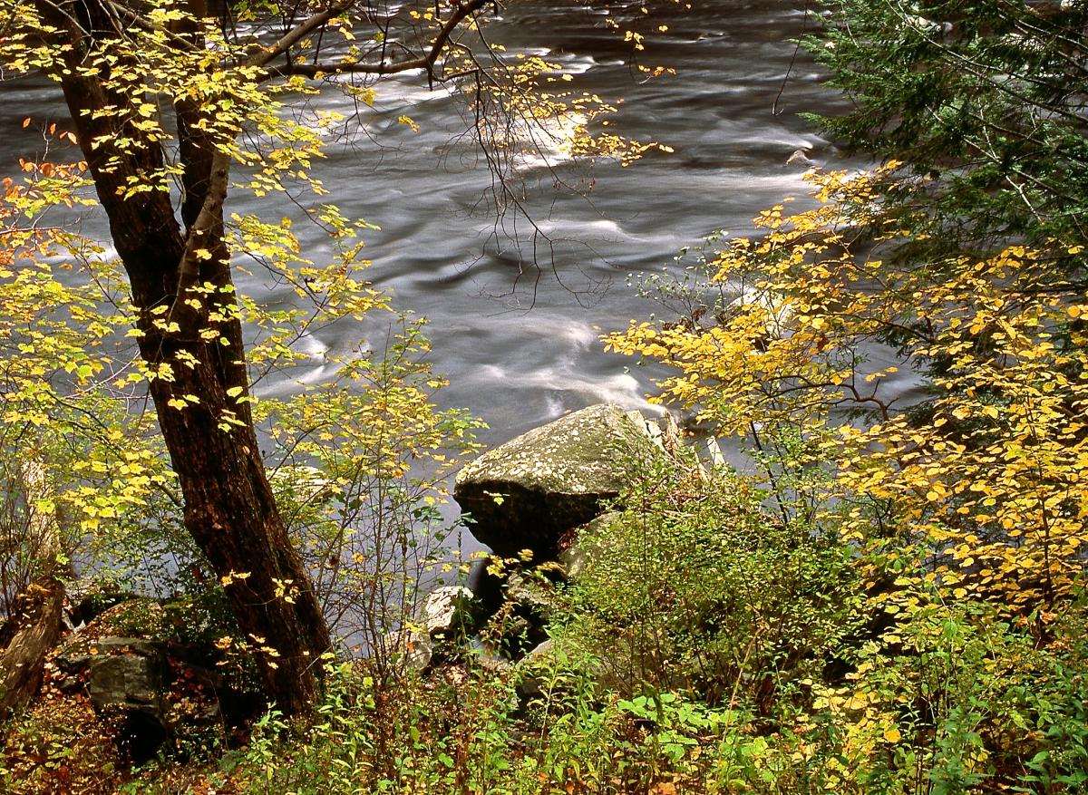 West Branch Farmington River, Connecticut