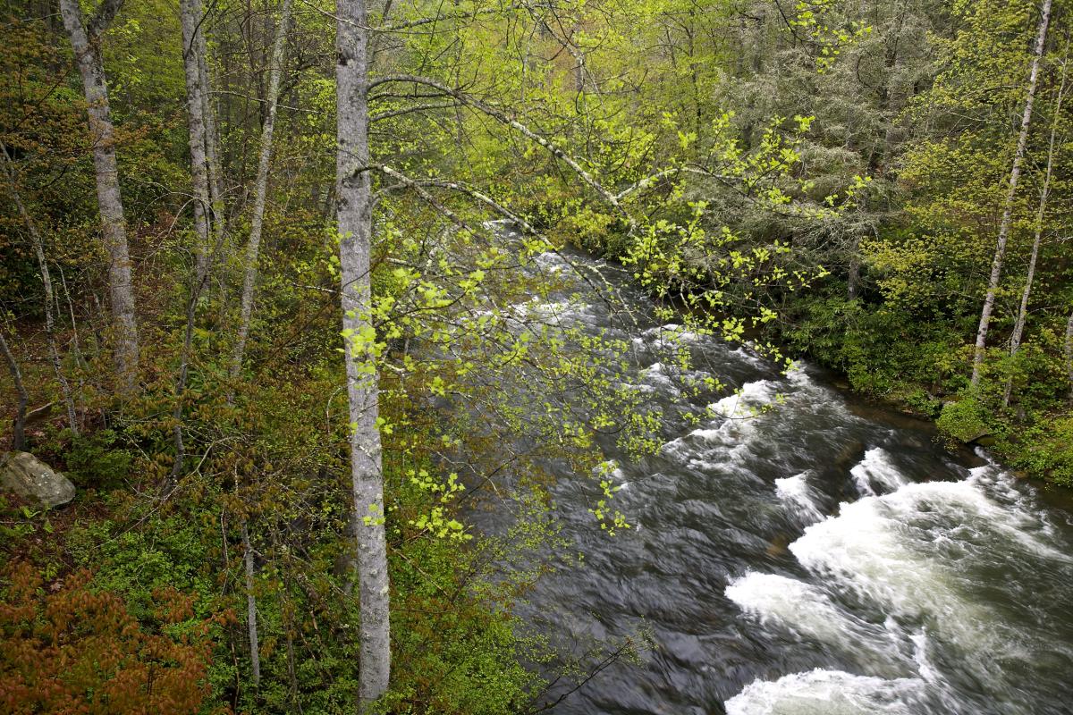 Horsepasture River, North Carolina