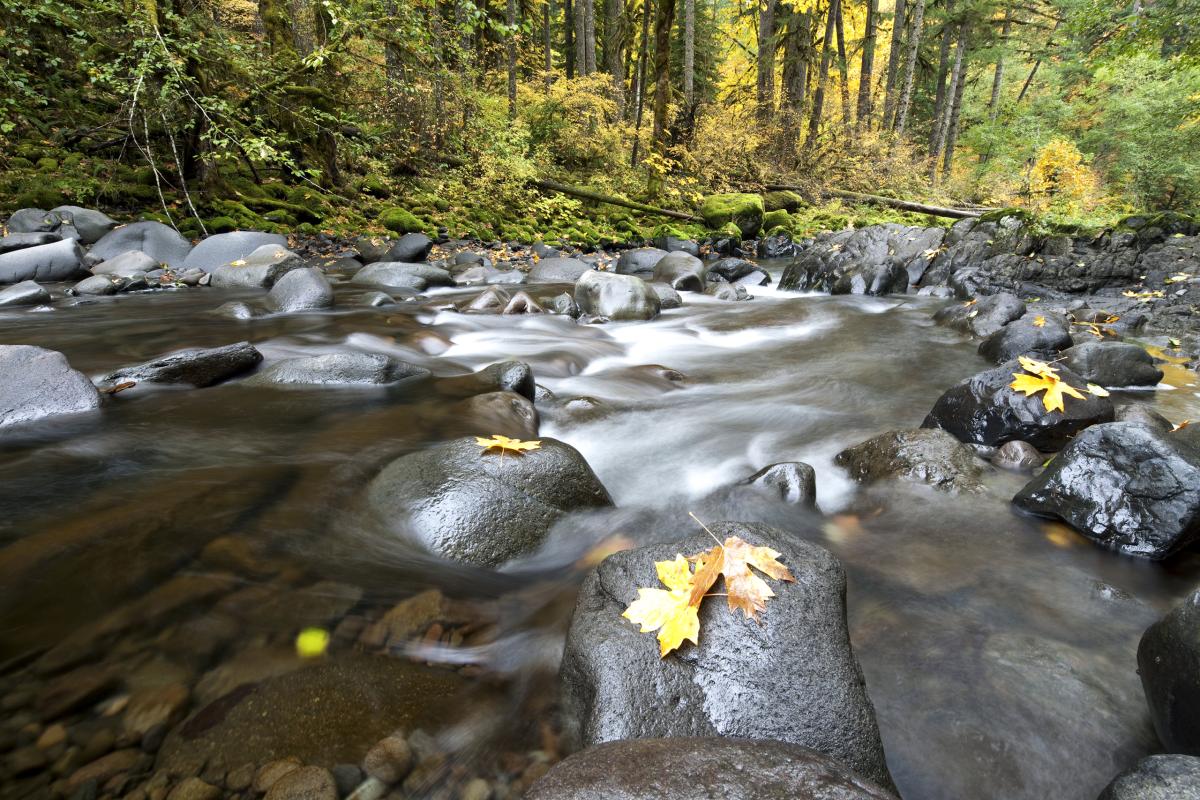 Molalla River, Oregon