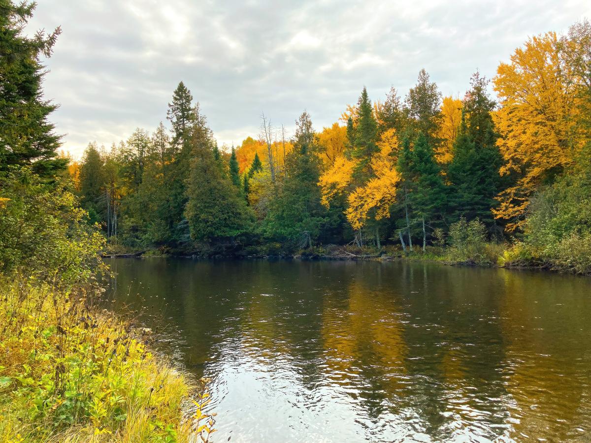 Paint River, Michigan