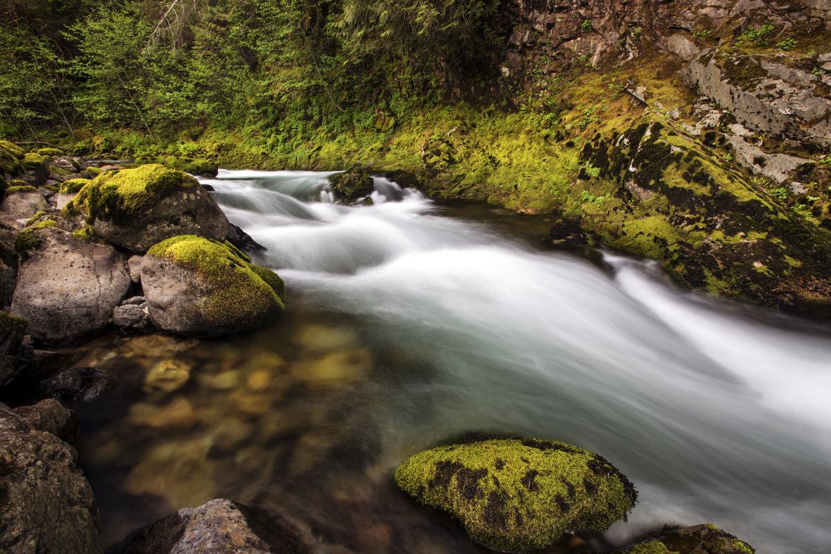 Quartzville Creek, Oregon