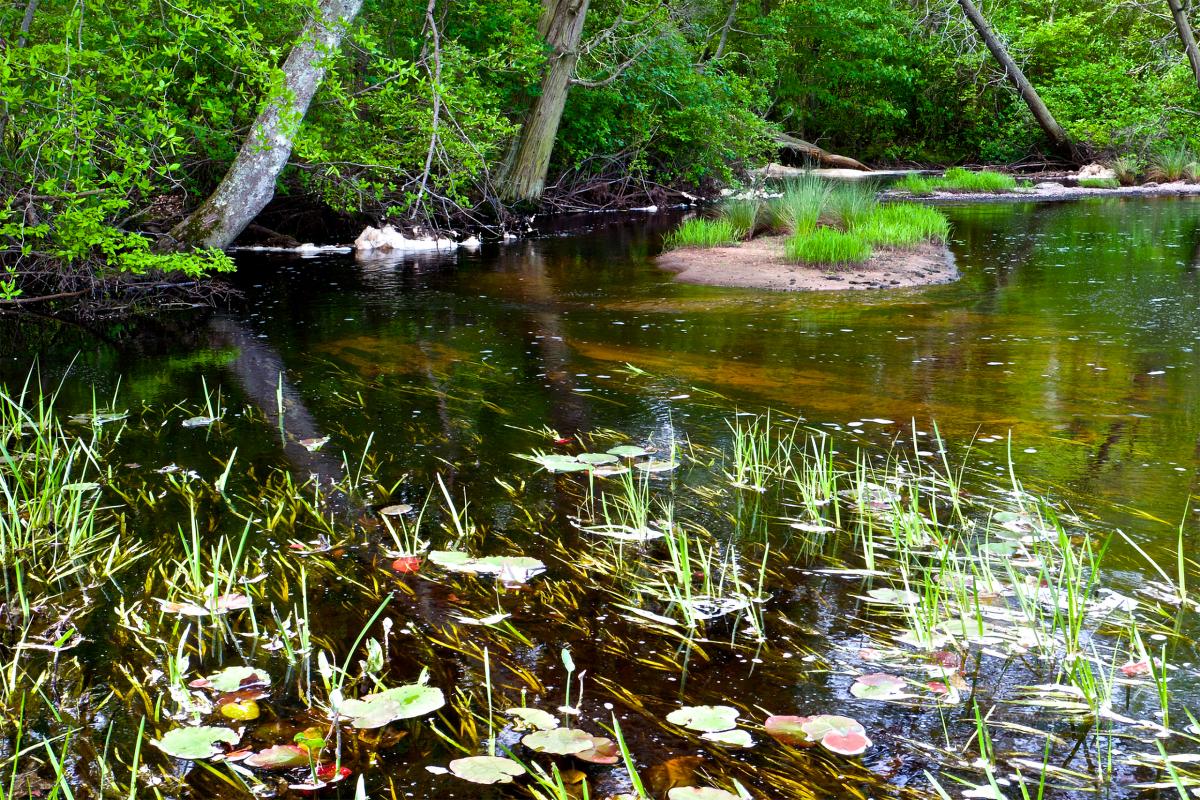 Manumuskin River, New Jersey