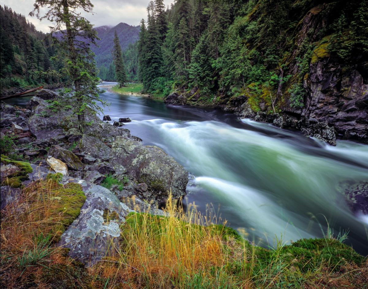 Selway River, Idaho