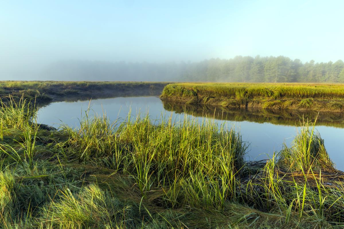 York River, Maine