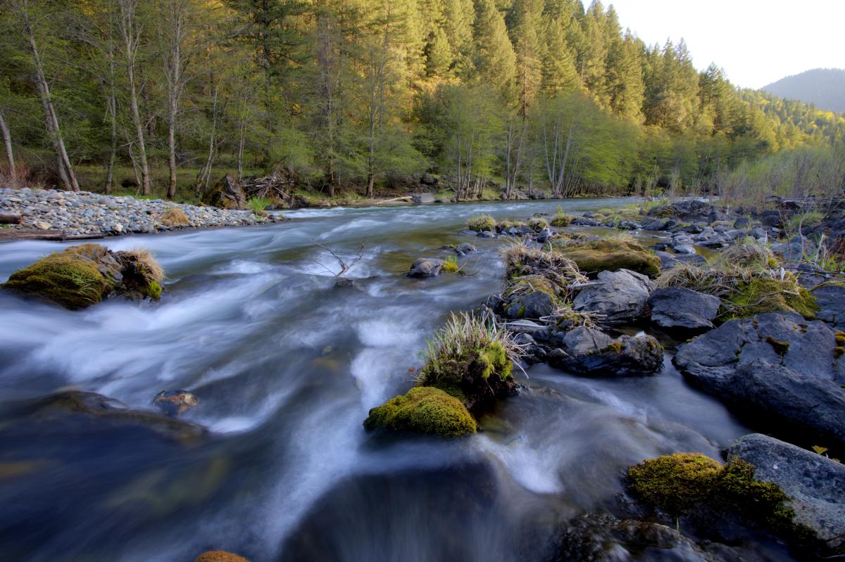 Trinity River, California