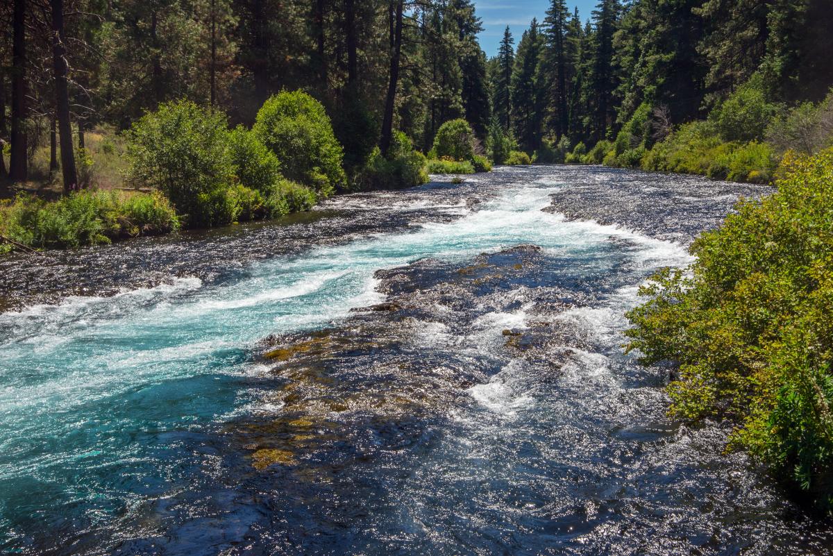 Metolius River, Oregon