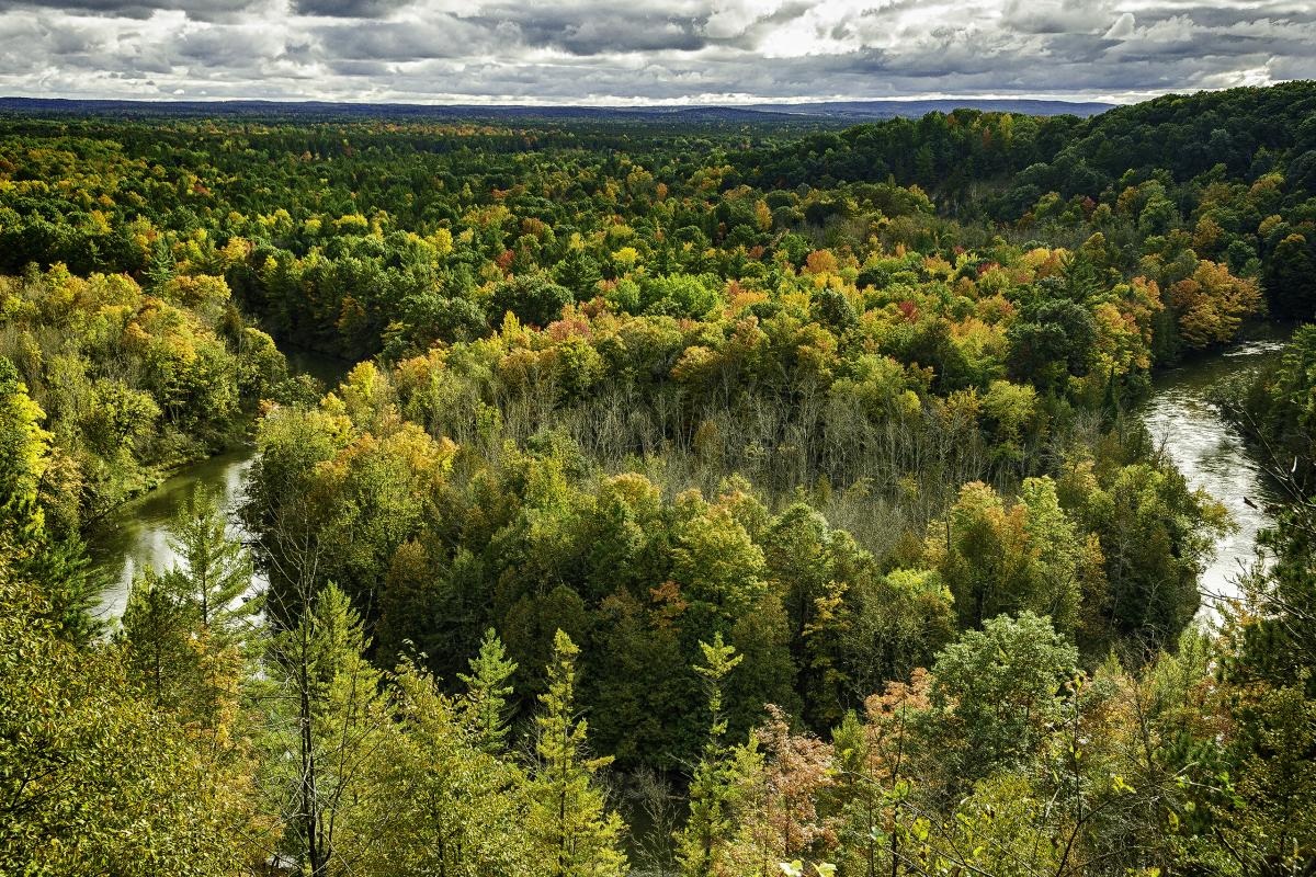 Manistee River, Michigan