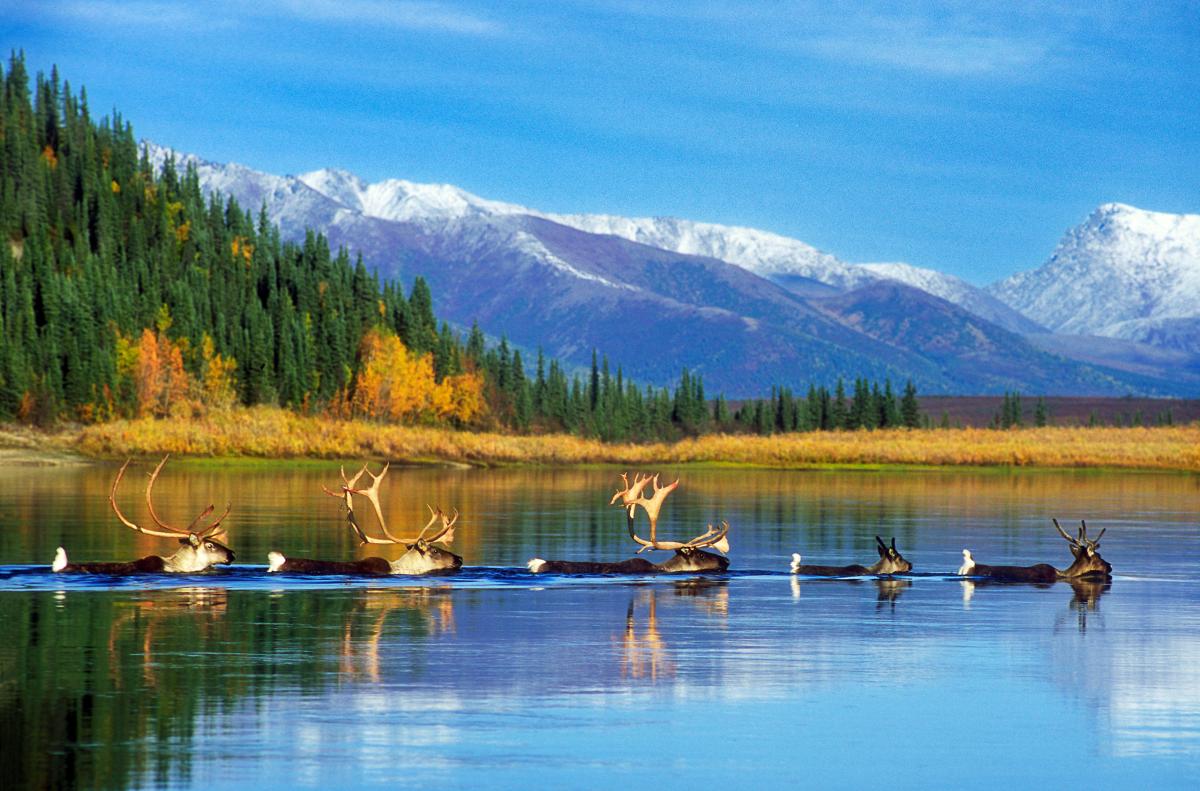 Kobuk River, Alaska